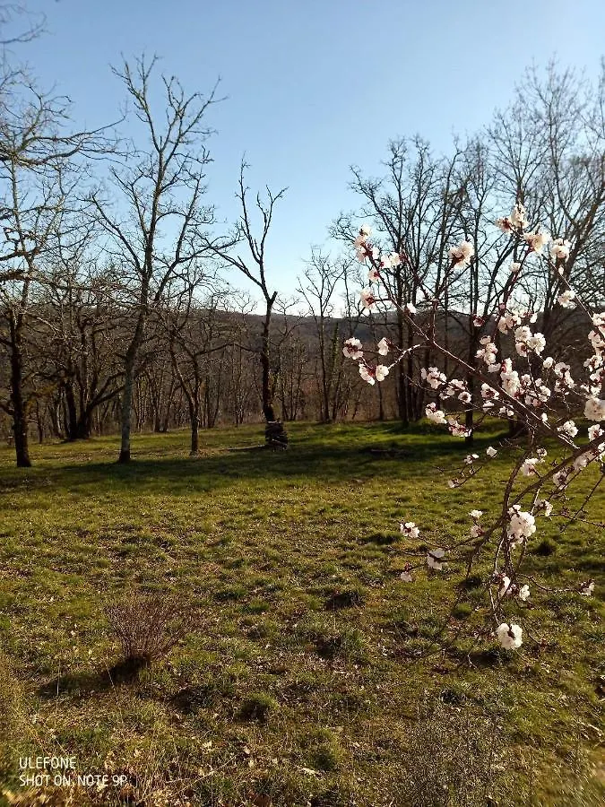 Holiday home Location Gite Proche Gourdon Saint-Cirq-Souillaguet